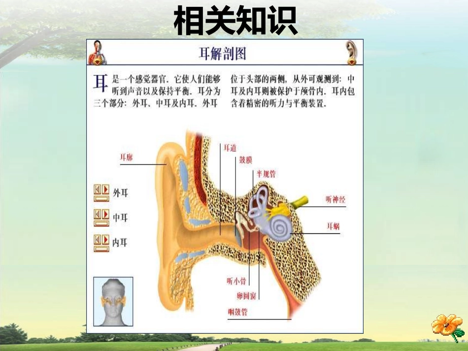 鼓膜穿孔副本剖析_第3页