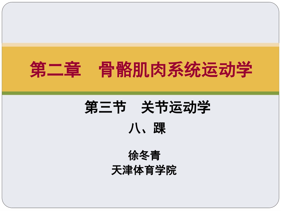 关节运动学踝分析_第2页