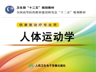 关节运动学踝分析