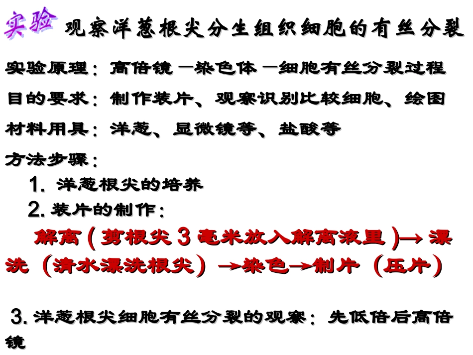 观察洋葱根尖分生组织细胞的有丝分裂分解_第1页