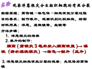 观察洋葱根尖分生组织细胞的有丝分裂分解
