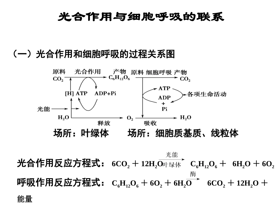 光合作用和细胞呼吸的关系_第2页