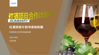 红酒项目商业计划书