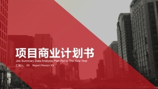 红色项目商业计划书
