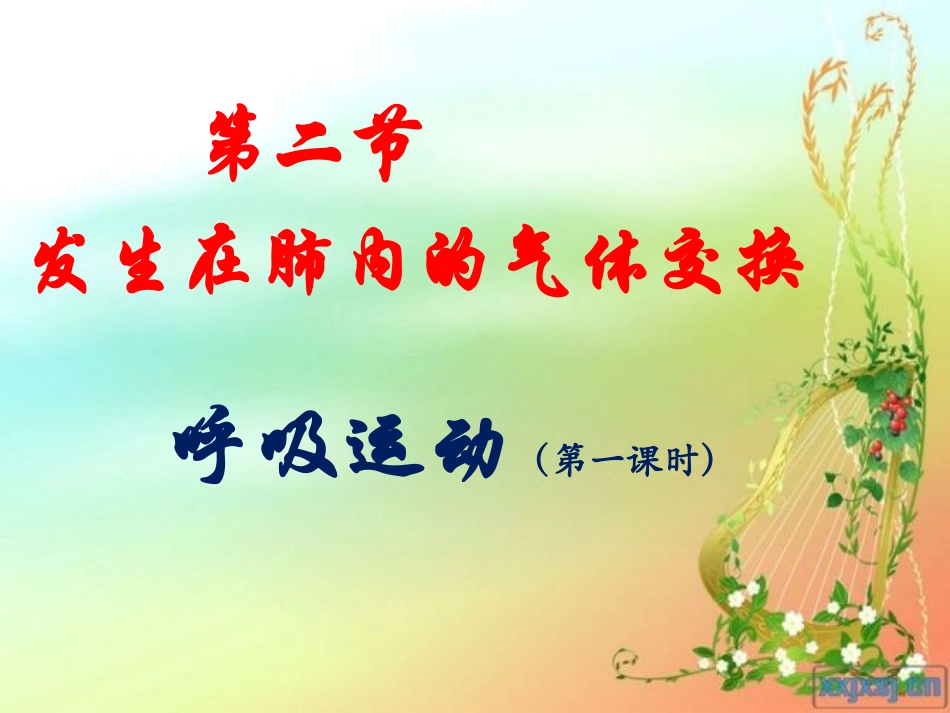 呼吸运动资料_第1页