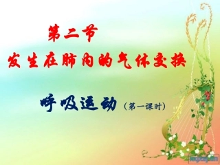 呼吸运动资料