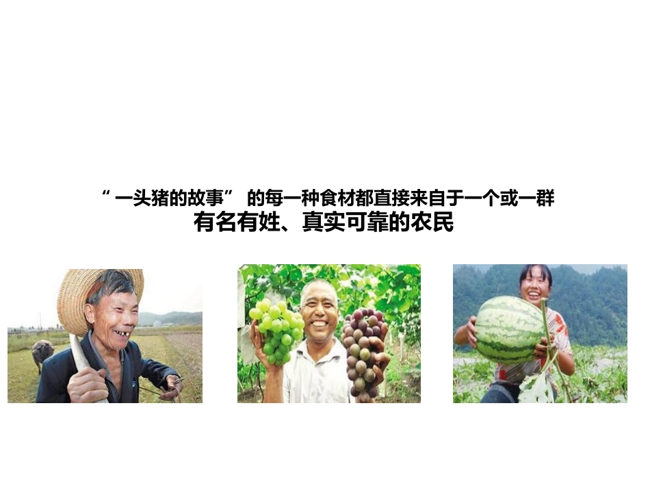 互联网+农业020平台商业计划书_第2页