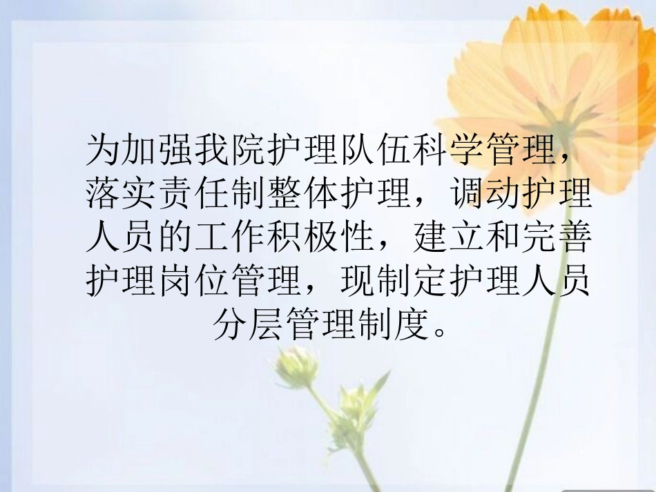 护士分层级管理制度_第2页