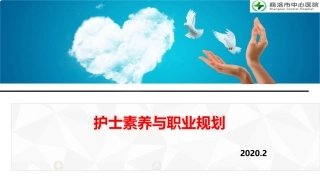 护士素养和职业规划课件