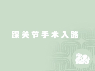 踝关节手术入路参考课件