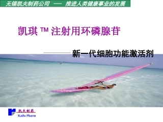 环磷腺苷产品知识