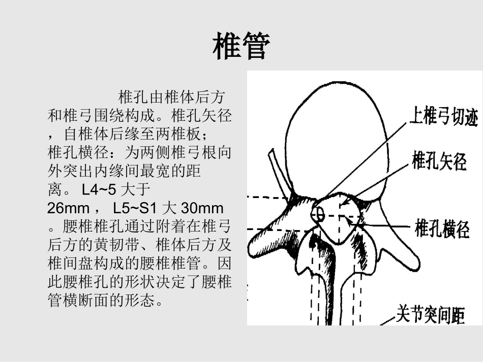 黄韧带肥厚的针刀松解_第3页