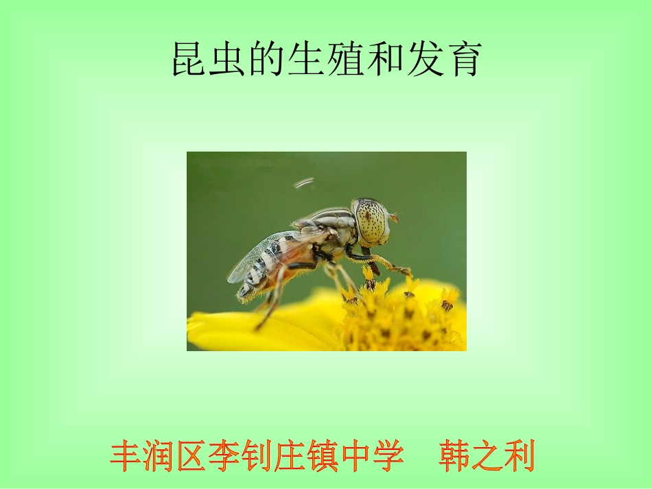 蝗虫的生殖和发育_第1页