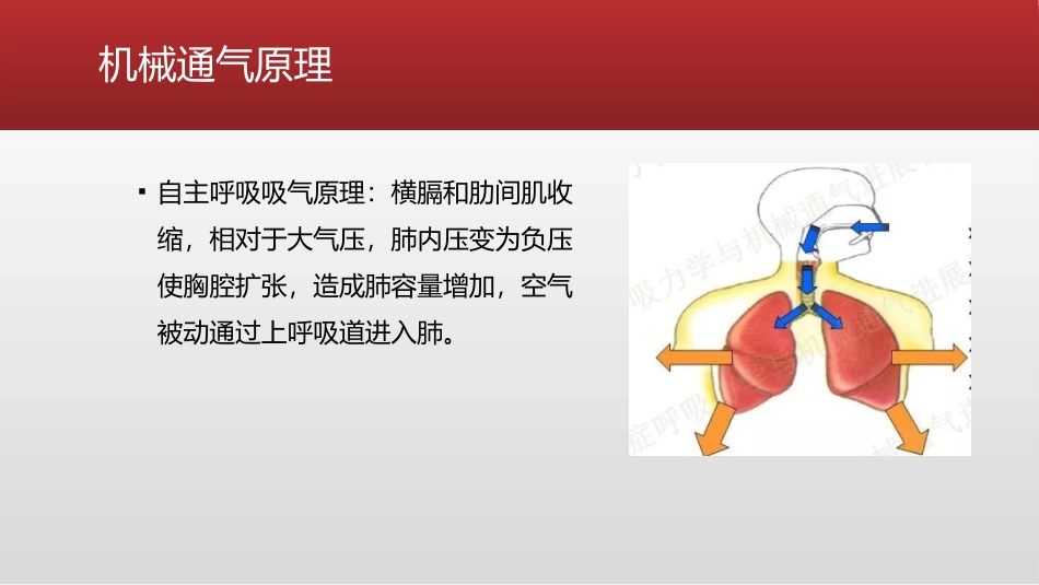机械通气的基本模式_第3页