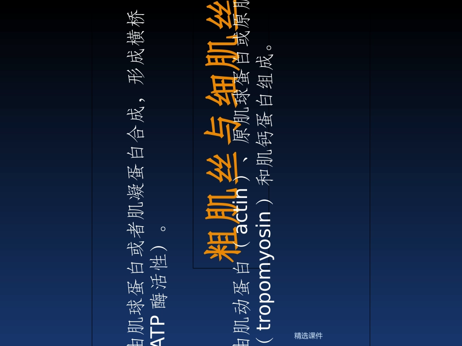 肌钙蛋白增高的意义_第3页