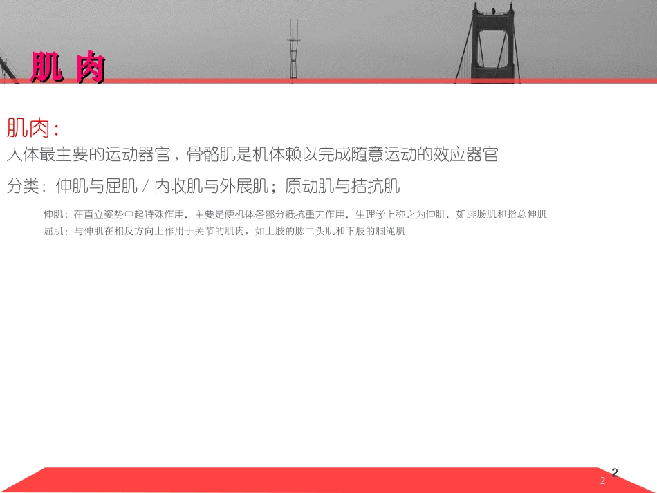 肌痉挛的临床治疗_第2页