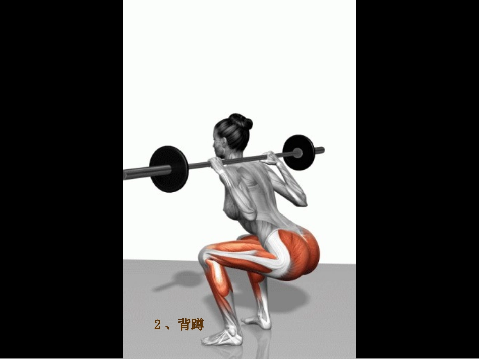 肌肉锻炼动作示范动画_第3页