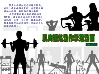 肌肉锻炼动作示范动画