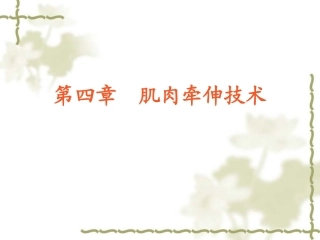 肌肉牵伸技术下肢牵伸技术及程序