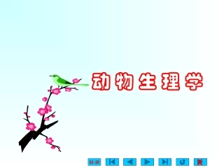 肌肉细胞的收缩机制