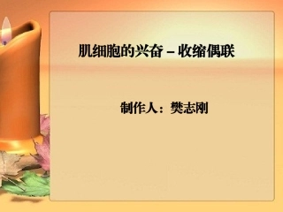 肌细胞的兴奋收缩偶联