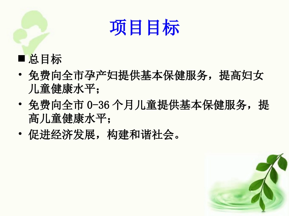 基本公共卫生服务妇幼项目课件_第2页