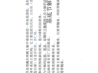 基底节区及内囊课件