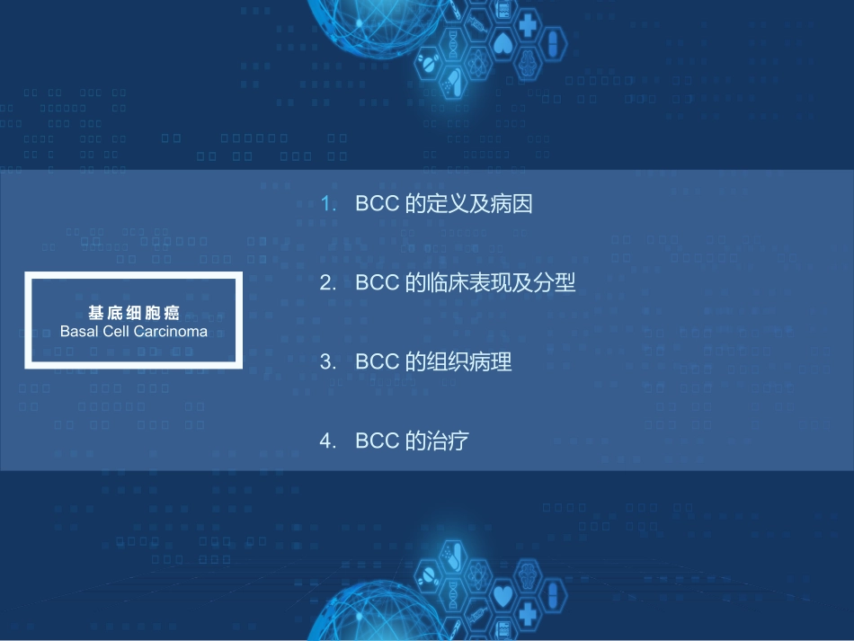 基底细胞癌赖俊东_第2页