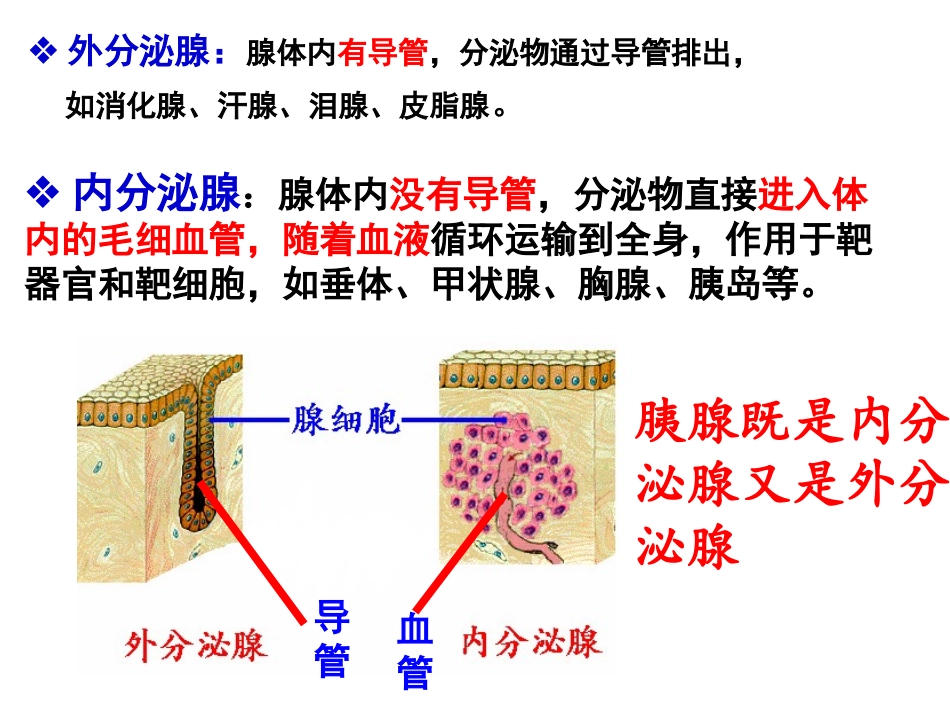 激素和内分泌系统_第2页