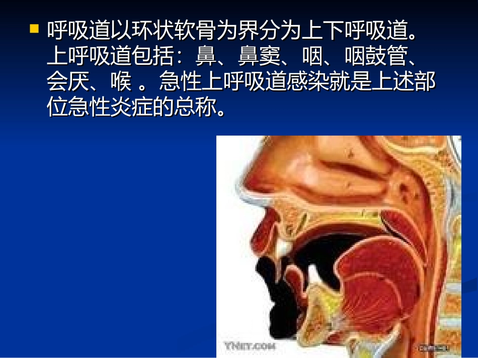 急性呼吸道感染_第2页