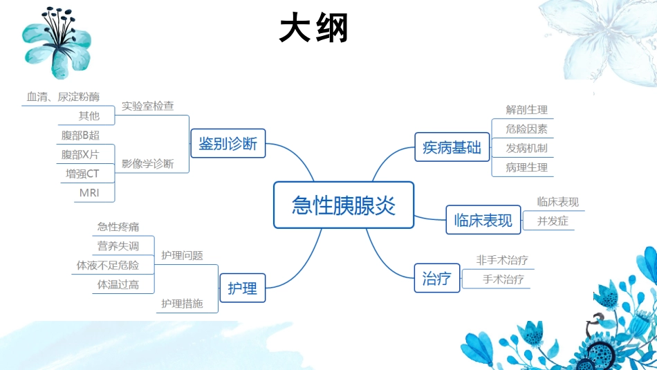 急性胰腺炎教学查房_第3页