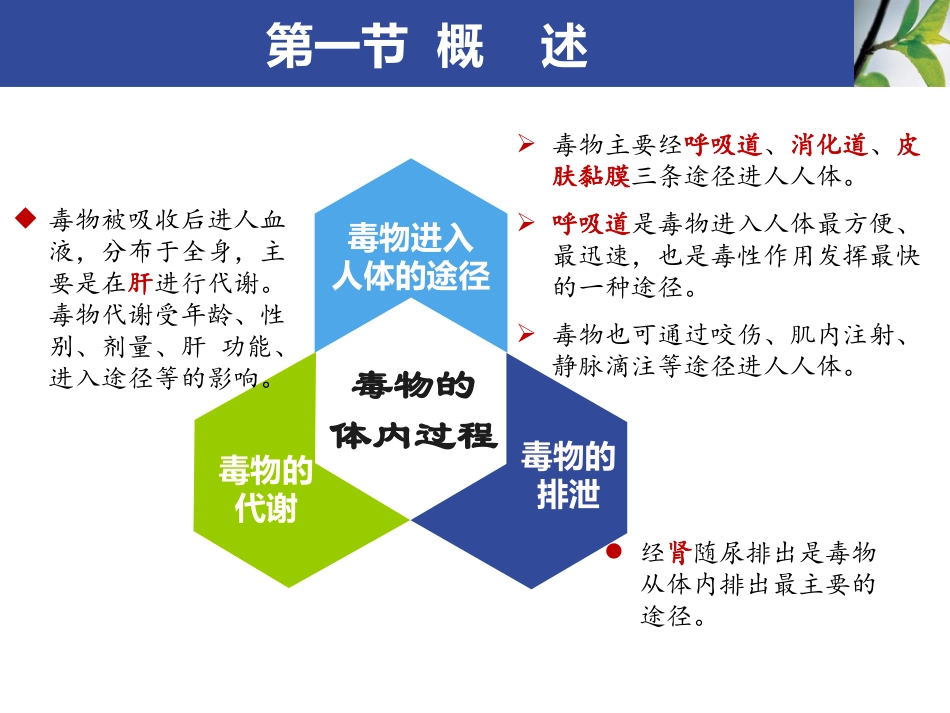 急性中毒的救护_第3页