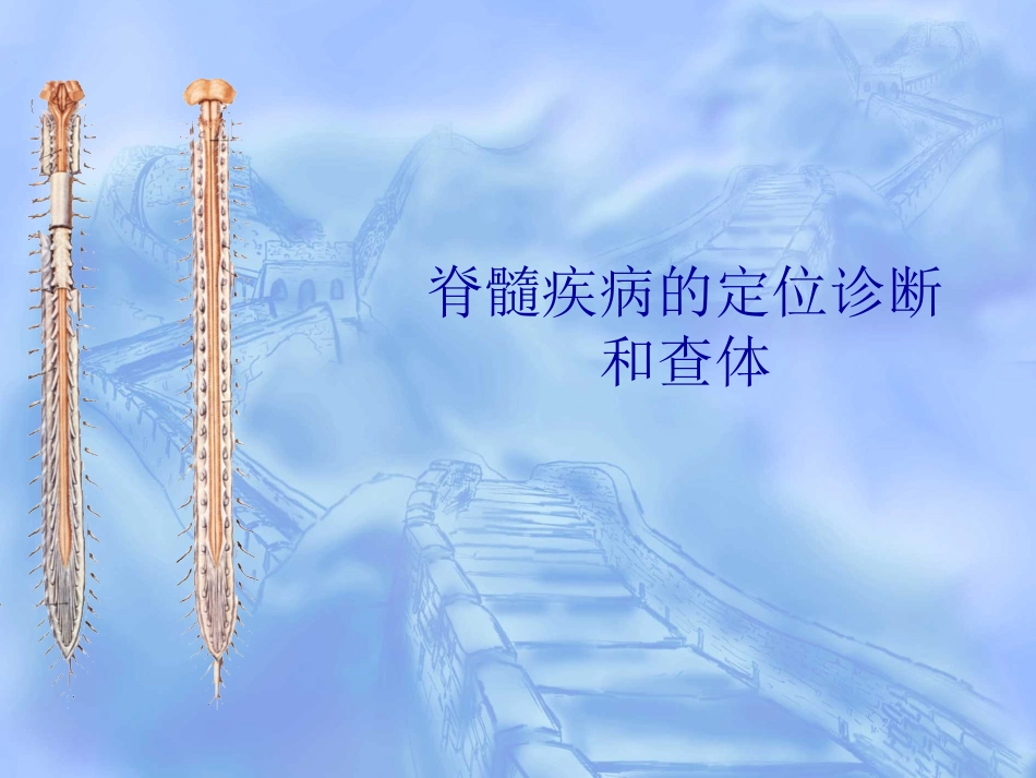 脊髓疾病的诊疗和查体_第1页