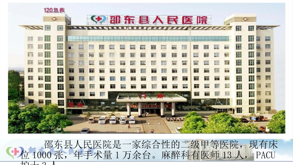 脊髓空洞症行半髋置换术的麻醉处置一例_第2页