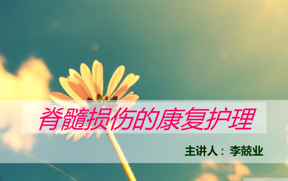 脊髓损伤业务学习_第1页