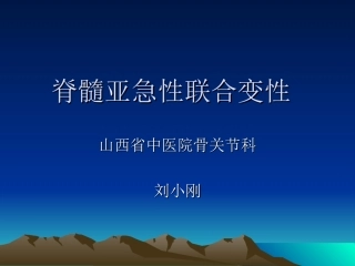 脊髓亚急性联合变性课件