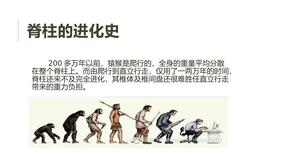 脊柱健康教育科普_第3页