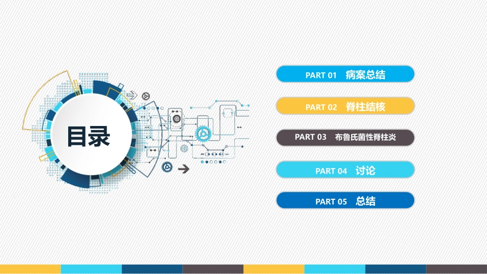 脊柱外科结核感染VS布鲁氏菌感染病例汇报及鉴别诊疗总结_第2页