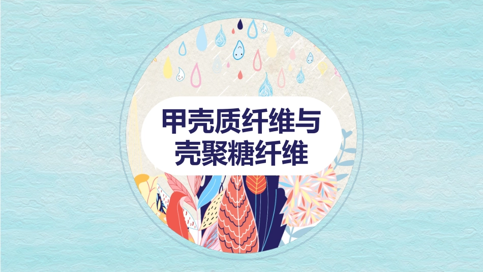 甲壳质纤维和壳聚糖纤维_第2页