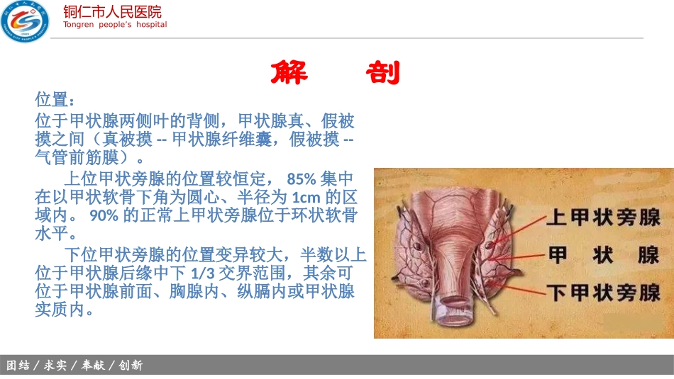 甲状旁腺超声_第2页