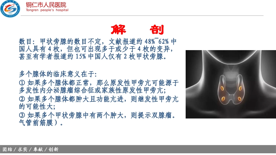 甲状旁腺超声_第3页