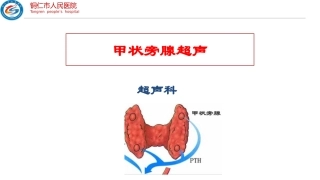 甲状旁腺超声
