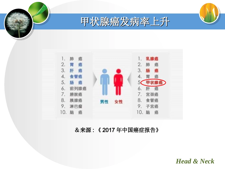 甲状腺癌外科规范化治疗_第3页