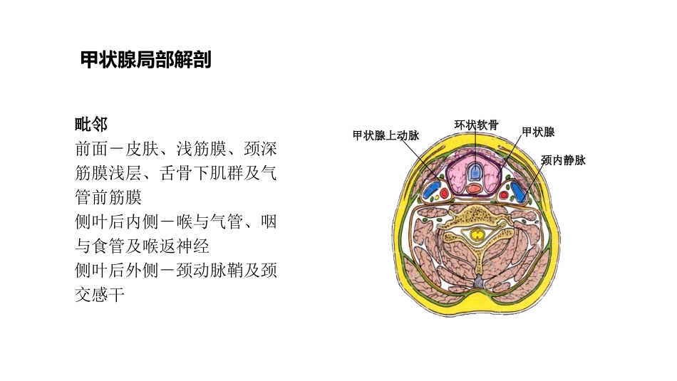 甲状腺次全切除术_第3页