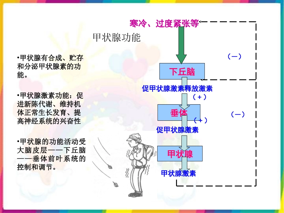 甲状腺功能检测的临床意义_第3页