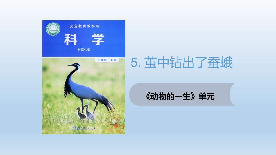 茧中钻出了蚕蛾_第1页