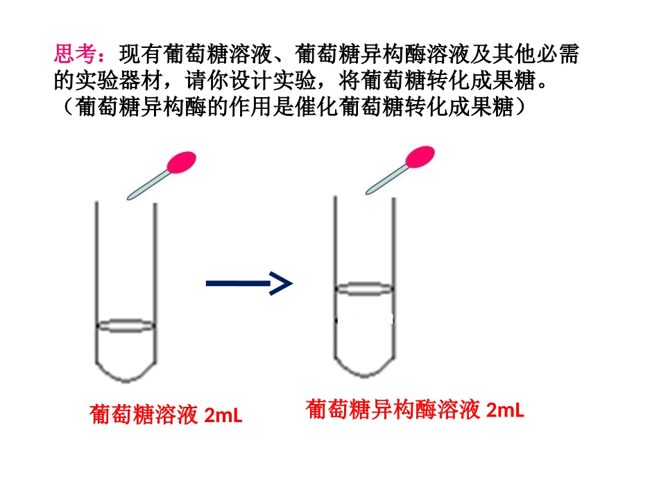 酵母细胞固定化_第1页