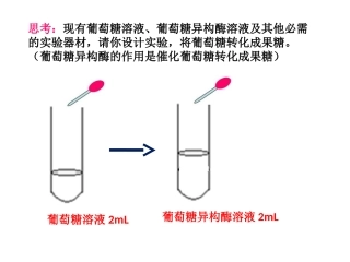 酵母细胞固定化