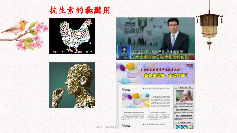 酵师中草药发酵酵素_第2页