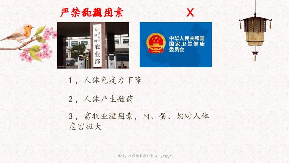 酵师中草药发酵酵素_第3页